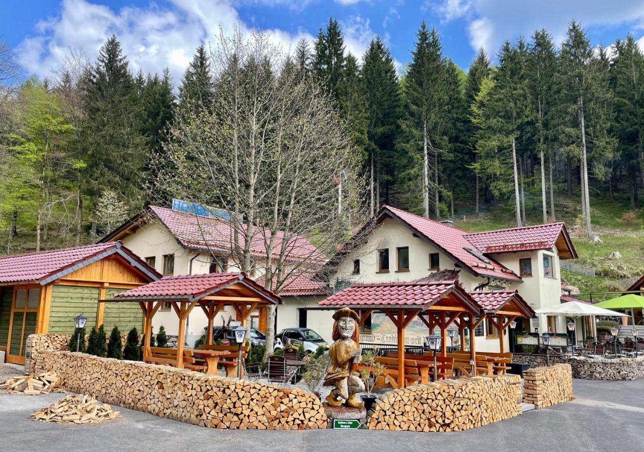 Hotel & Gasthaus Sterngrund Zella-Mehlis Exterior foto